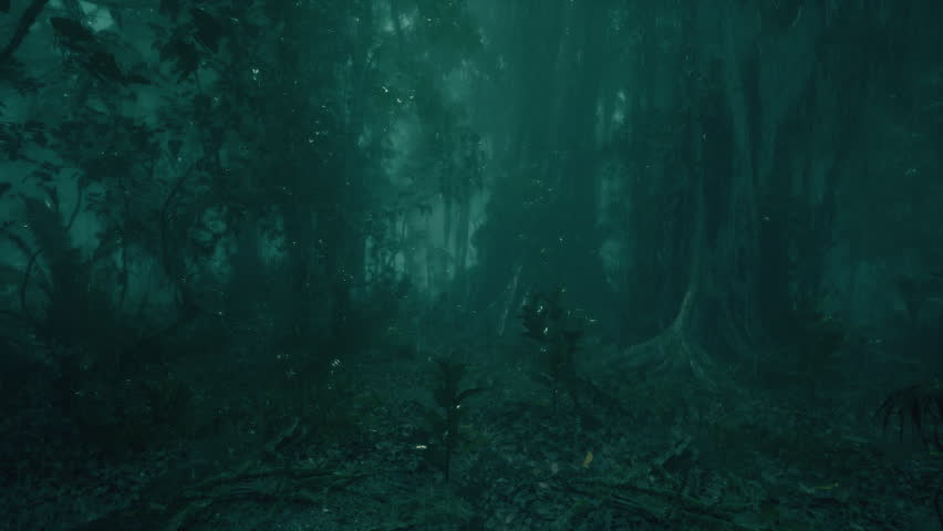Rain In The Forest 21