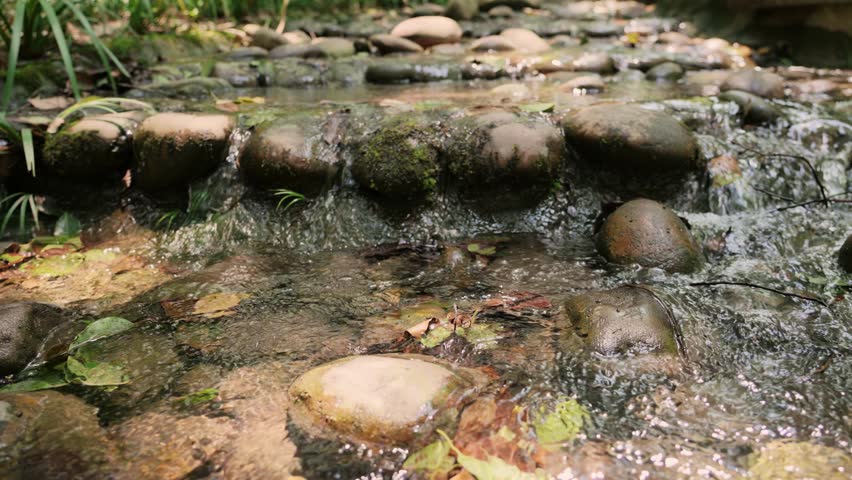 Clear water flowing over smooth river stones in a peaceful forest creek setting