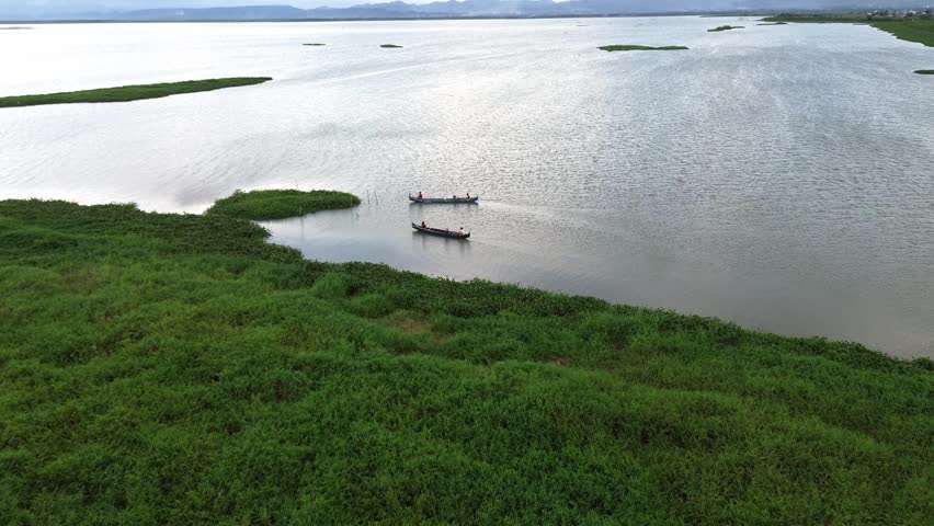 Aerial View of Boats on a Lake with Lush Greenery