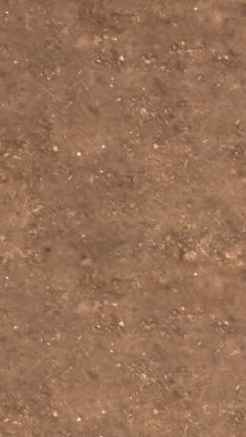 Rough cracked soil surface overhead view.
