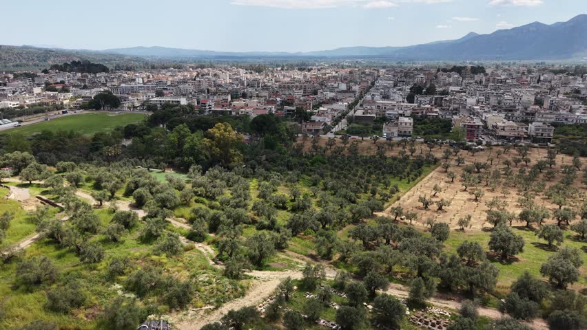 Aerial drone view approaching the city of Sparta with olive groves, residential buildings and mountains in the Peloponnese region of Greece