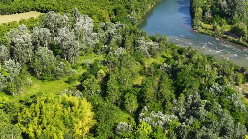 High angle drone shot follows a winding river through dense green woodland in bright sunlight.