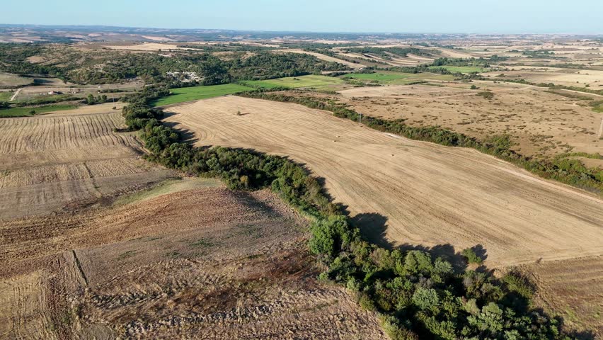 Agricultural plots planted with different vegetables, with visible crop rows, soil sections, and organized garden or farm layout. Suitable for agriculture videos, farming content, food production projects, environmental visuals, rural documentaries, background use, and productions related to cultivation, organic farming, harvest, and sustainable agriculture.
