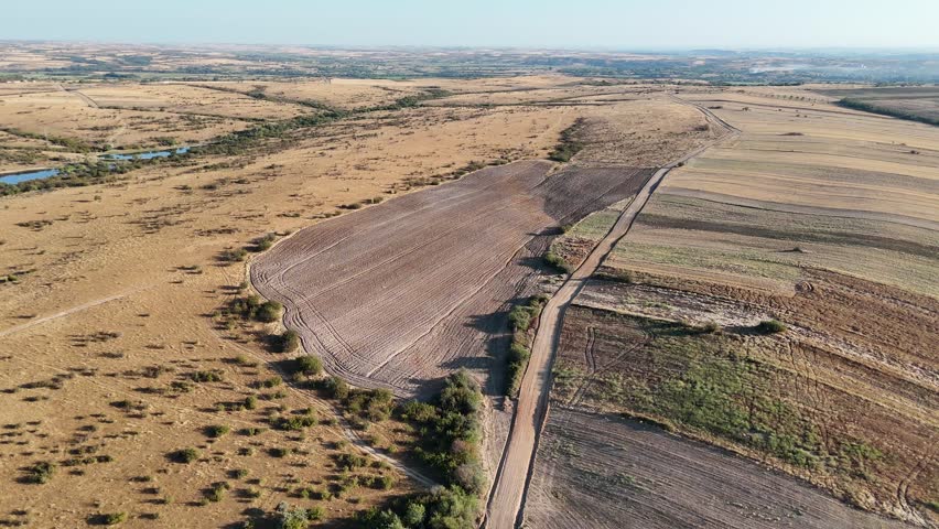 Agricultural plots planted with different vegetables, with visible crop rows, soil sections, and organized garden or farm layout. Suitable for agriculture videos, farming content, food production projects, environmental visuals, rural documentaries, background use, and productions related to cultivation, organic farming, harvest, and sustainable agriculture.