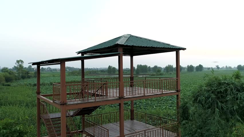 Watchtower standing amidst the vast Harike Wetlands surrounded by water and lush vegetation.