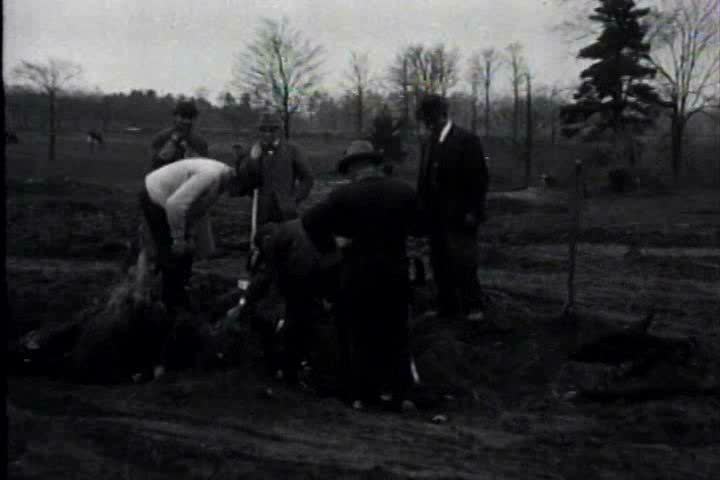 1910s, 1920s - Road building scenes: Preparing the roadbed, removing stumps, roots and top soil.