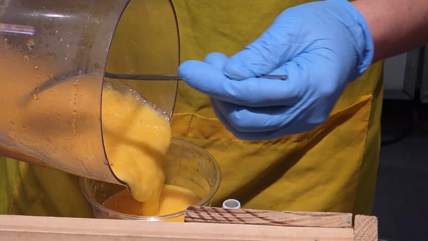 Eye Level Close Up View of Worker Wearing a Yellow Apron and Blue Gloves Pouring a Fresh Orange Smoothie from a Blender Into a Plastic Cup