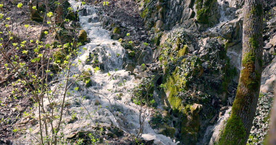 Cascading waterfall in spring forest