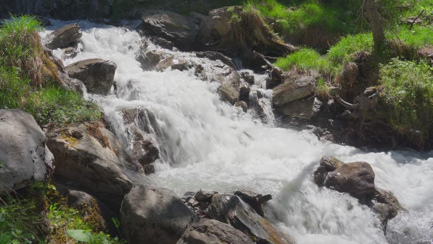 waterfall in the swiss forest
