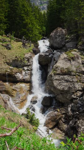 mountain river in the forest