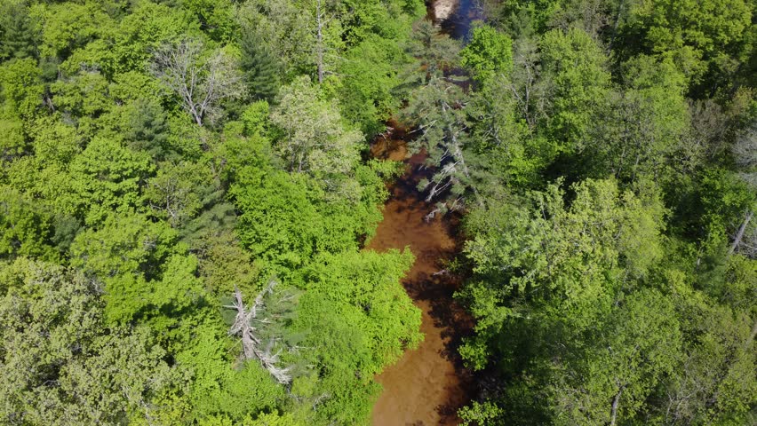 Halls Creek off the Black River in Wisconsin