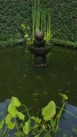 Elegant water fountain in a tranquil garden pond surrounded by lush green aquatic plants and ivy-covered walls, creating a peaceful natural landscape with reflective water and serene ambiance.
