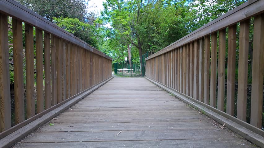 White woman walking her dog Jack Russell across a wooden bridge in the public park.