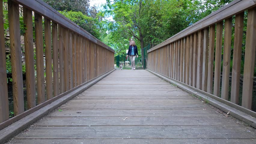 White woman walking her dog Jack Russell across a wooden bridge in the public park.