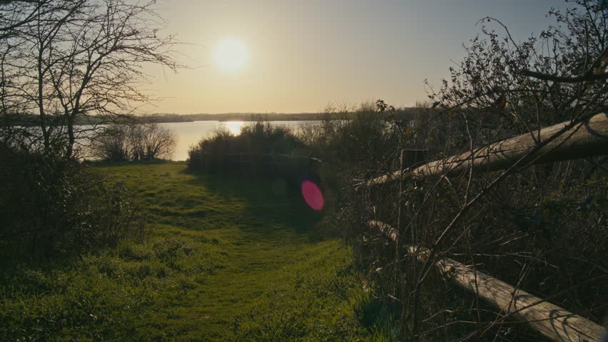 Peaceful lake in nature during golden hour with warm sunlight