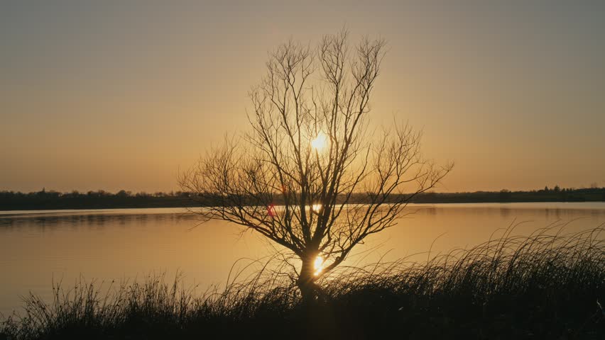 Peaceful lake in nature during golden hour with warm sunlight