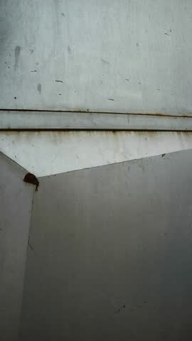 Close-up of a weathered metal surface with a torn section