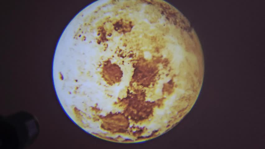 projection of a planet, such as a Venus globe, The image depicts a global view of the surface of a planet, with features resembling radar mosaics of Venus