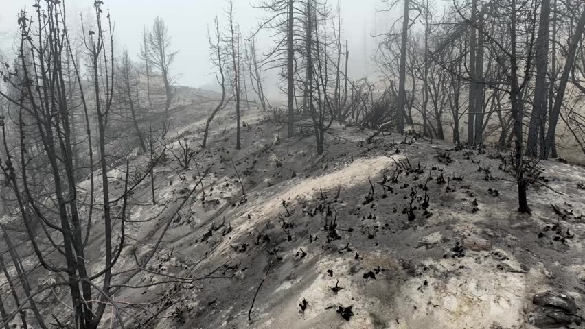 Aerial of a burnt mountainside from a recent wildfire. Near Los Angeles California.