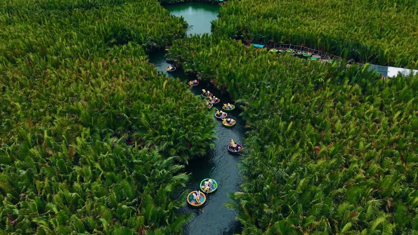 Tourists in coconut basket boats on canal of tropical river between dense palm trees in Hoi An, Vietnam Aerial top view.