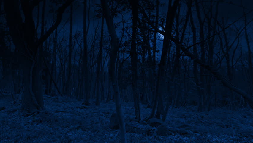 Lightning Flashes In Moonlit Forest Moving Shot

