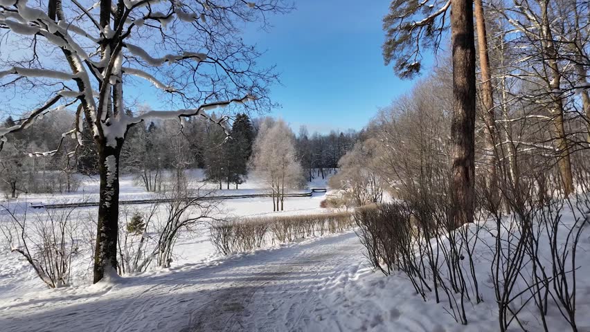 A walk in the winter snow park. Slowmotion