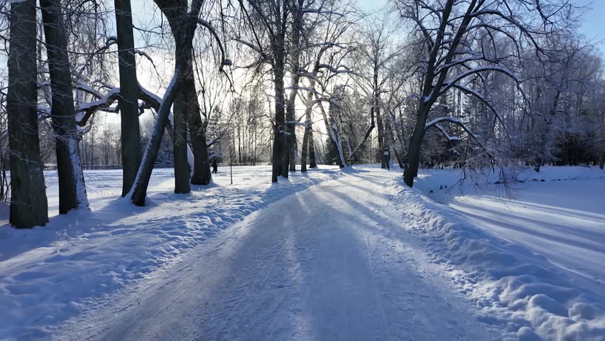 A walk in the winter snow park. Slowmotion