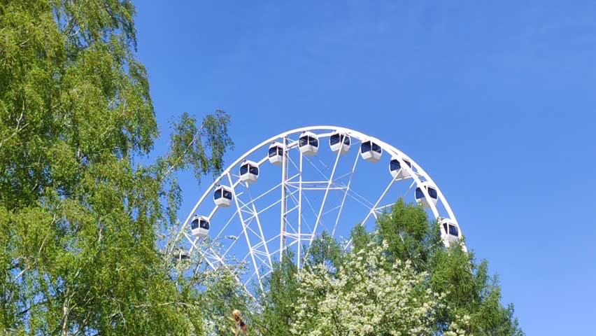 Amusement park Ferris wheel rising above cherry blossom trees in full bloom during a sunny spring day.