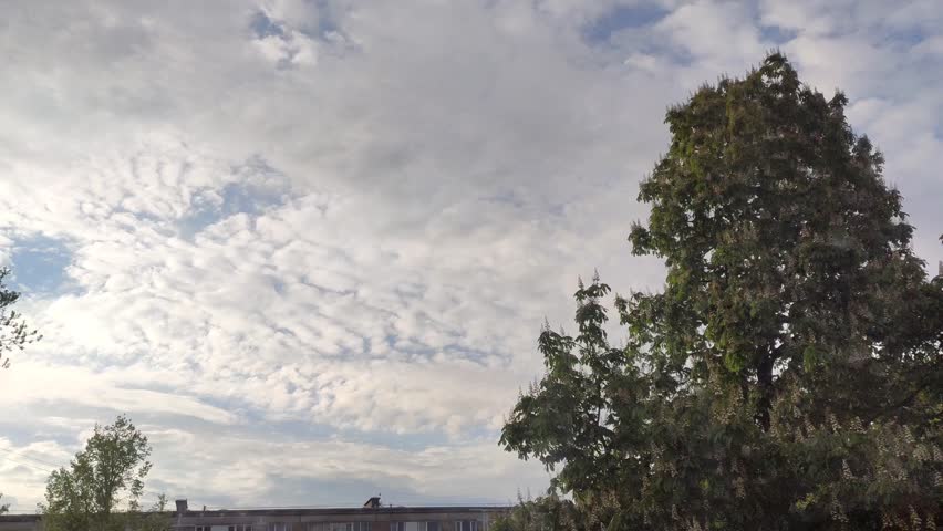 Calm cloudscape with bright daylight and airy white clouds drifting across the sky.