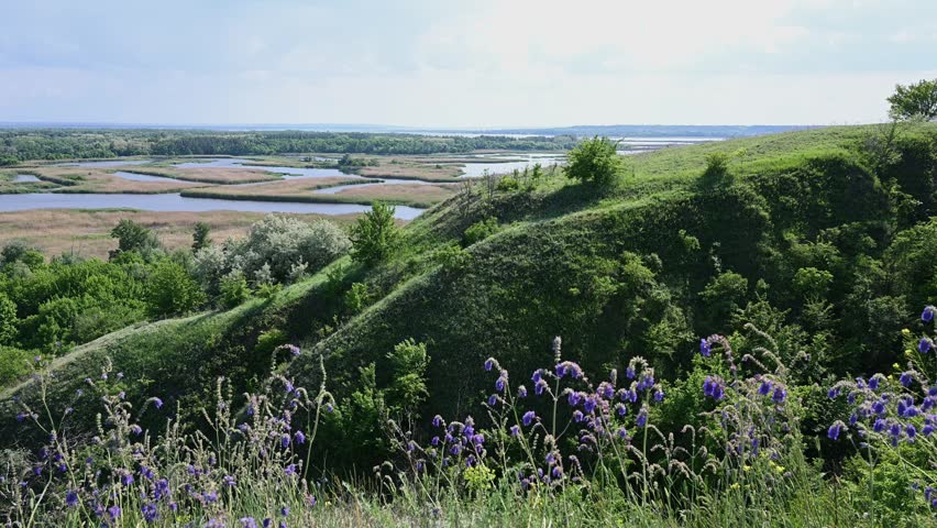 Static tripod shot overlooking the wetland mosaic of the Vorskla River floodplain in Nyzhnovorsklyanskyi Regional Landscape Park Ukraine. Rolling steppe hills with blooming wildflowers descend toward reed beds lakes and winding water channels. Horizontal 4K 60fps footage highlighting the unique landscapes biodiversity and protected ecosystems of this natural reserve.