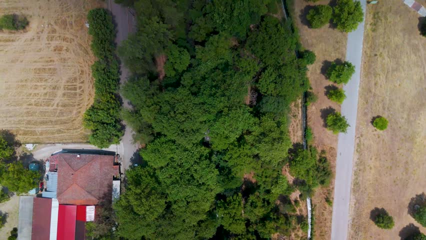 A high-angle drone shot captures the entrance of the Aggitis River Cave surrounded by lush green forests and rocky cliffs in the Drama region of Northern Greece.