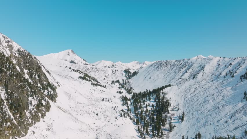Drone footage of snow-covered ridges and pine forest in a high mountain valley near Galina Peak, Arshan, Republic of Buryatia, Russia, under clear blue sky