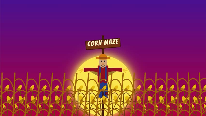 Scarecrow in corn maze field night full moon flying birds Cartoon flat illustration animation background for autumn fall festival Halloween thematic storytelling. Atmospheric cartoon animation of a scarecrow standing in a cornfield under a giant glowing full moon and purple twilight sky with black birds flying across for a fall festival scene.