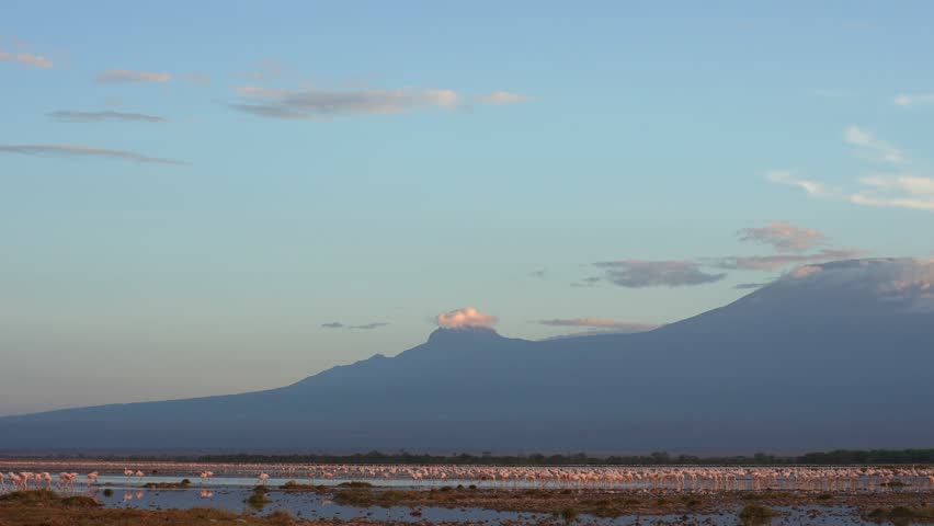 Amboseli Flamingoes Resting Calmly Under a Glowing Sunset Sky