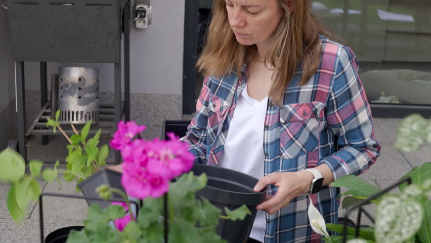 Woman repots plants on a home terrace, placing green houseplants into a large black pot. Concept of plant care, home gardening and DIY hobby.
