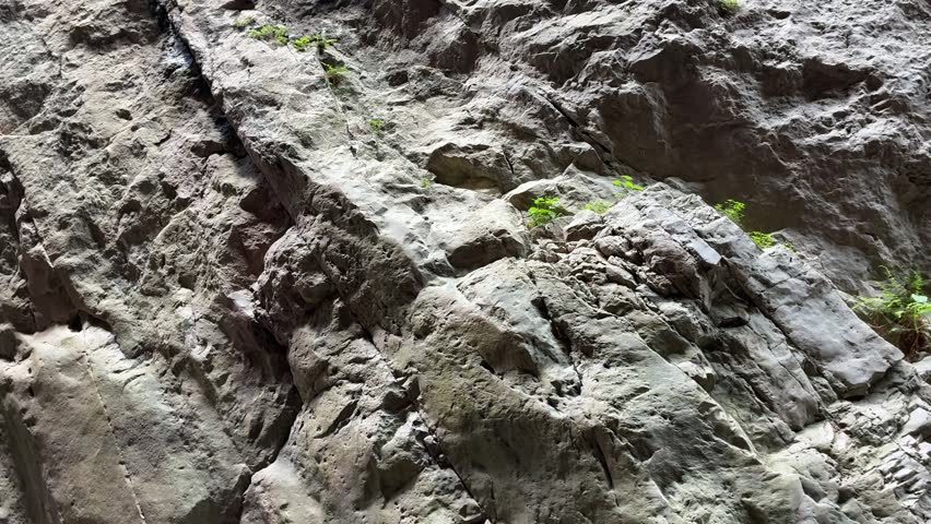 A low-angle, upward-tilting shot reveals the rugged, textured surface of a towering rocky cliff face with small green plants growing in crevices