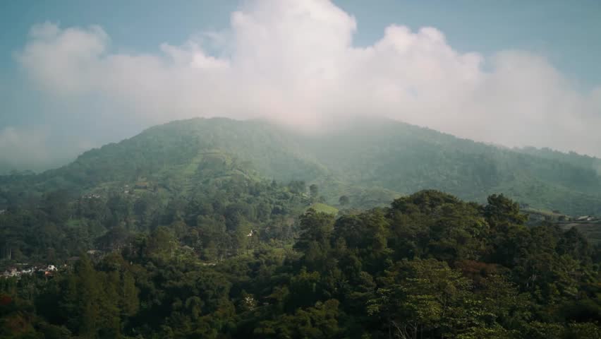 Cloud Covered Mountain Forest Landscape In Morning