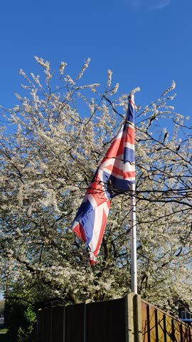 British flag Union Jack waving on a flagpole against a blooming spring tree and bright blue sky on a windy sunny day