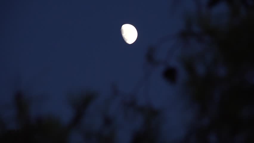Moon Rises in Crepuscular Sky, Half Moon in Dusk Light View, Evening