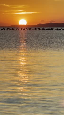 HDR vertical shot of a vibrant golden sunset over the sea with sun reflection path on water.
