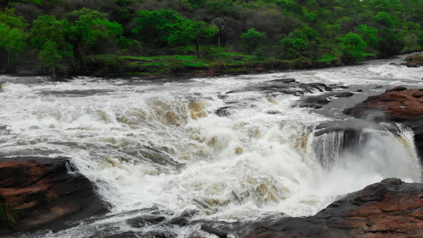 Powerful whitewater waterfall rushing through dark rocks in a lush green forest landscape . Media