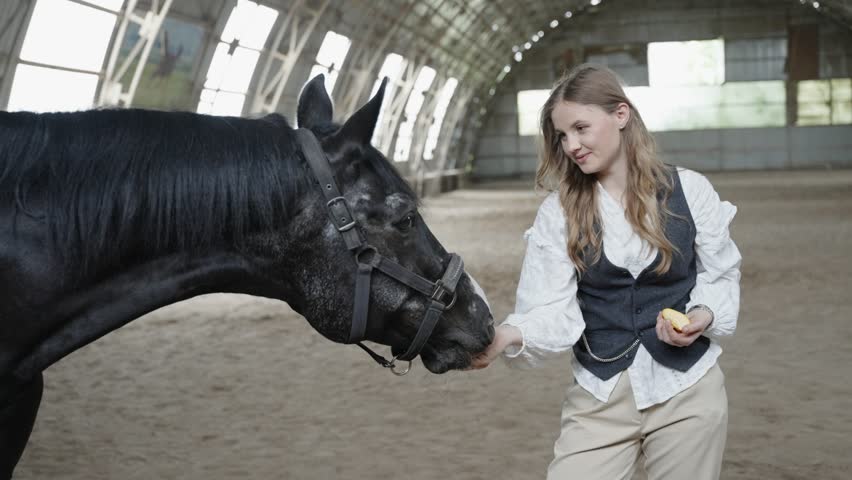 Young woman feeding black horse an apple in riding arena