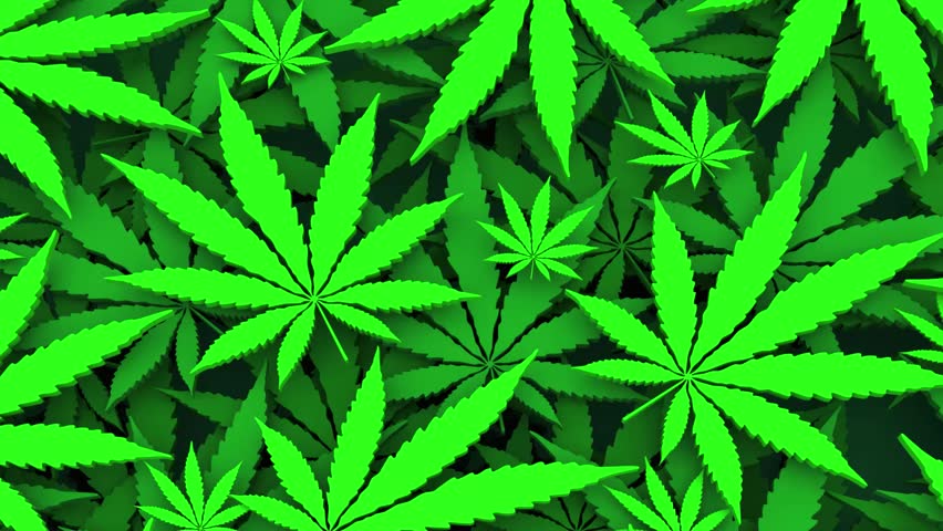 Oregon OR Map Marijuana Pot Leaves State Law CBD THC Pot Cannabis 3d Animation