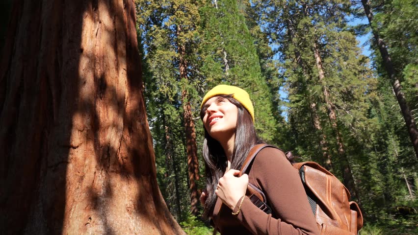 Young woman with a backpack hiking in a sunny forest, looking up in awe at the majestic giant sequoia trees of sequoia national park in california, representing travel and wonder