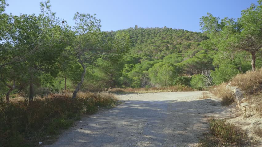 A dirt road winds through green hills in Benidorm. The sun shines on the landscape as trees provide shade. This location invites walking and exploring nature