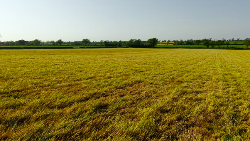Hay field landscape stretching across freshly cut grass under clear sky. Rural countryside scenery featuring harvested meadow and green tree line. Agricultural panorama highlighting summer farmland