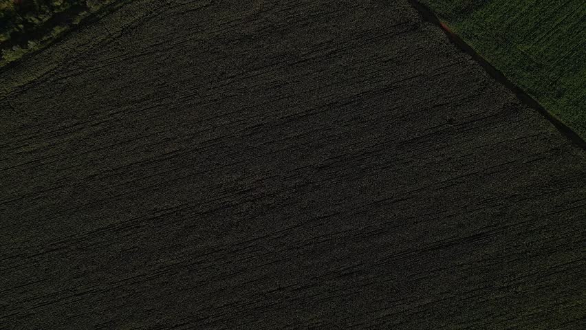 Cultivated farmland with geometric soil texture and rural road in the Rio Preto rural area, Planaltina, Federal District, Brazil, showing large scale agribusiness terrain, aerial top down pan reveal.