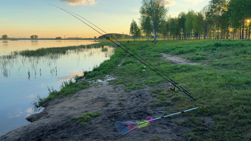 Fishing rods on a quiet lake shore at sunset, relaxing in the fresh air and a summer natural landscape with birch trees.