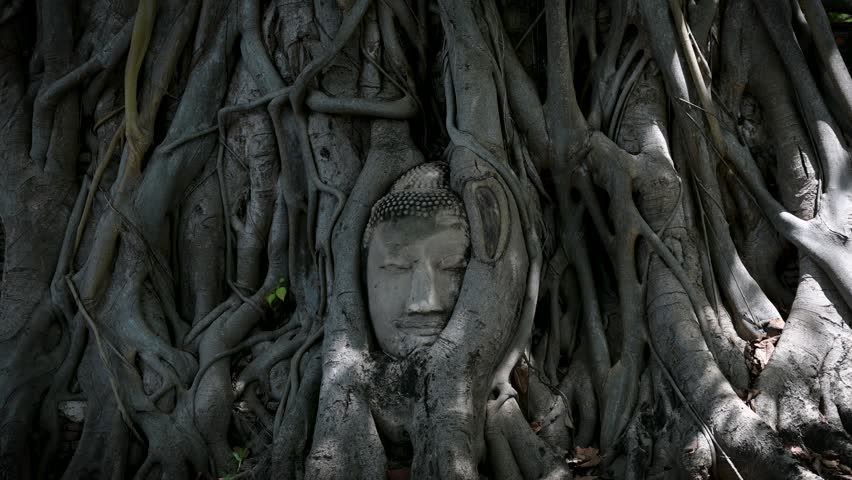 Unveiling Thailand