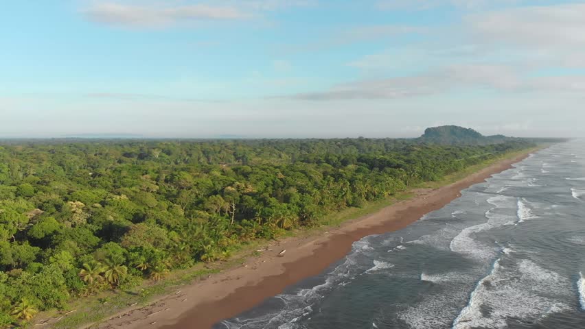 In Tortuguero National Park in Costa Rica, a sandy Caribbean shoreline bordered by palm-fringed rainforest and dense tropical vegetation appears in an aerial view.